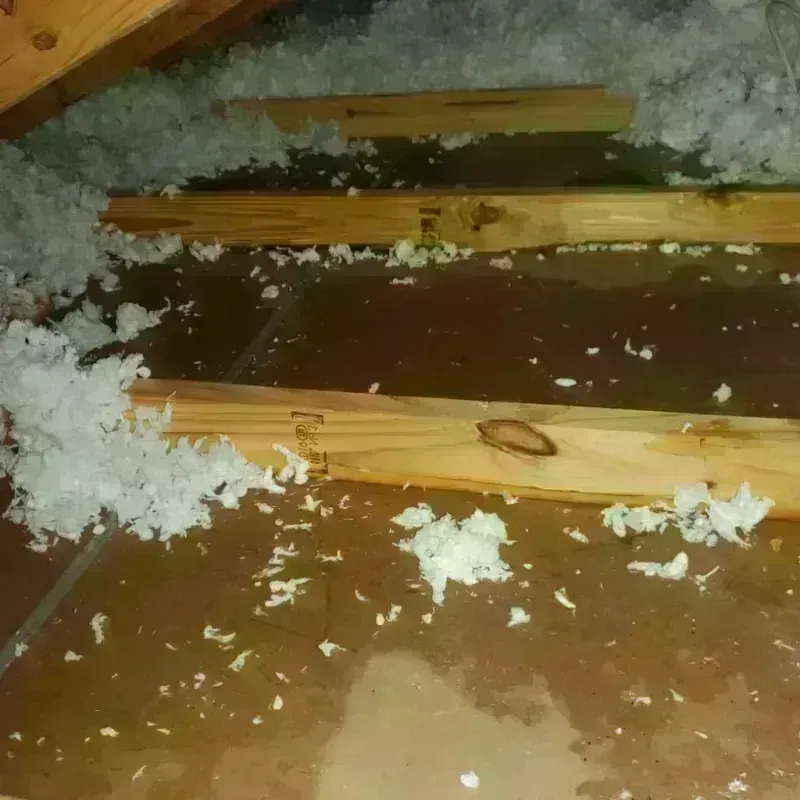 Attic Water Damage in Martin County, TX