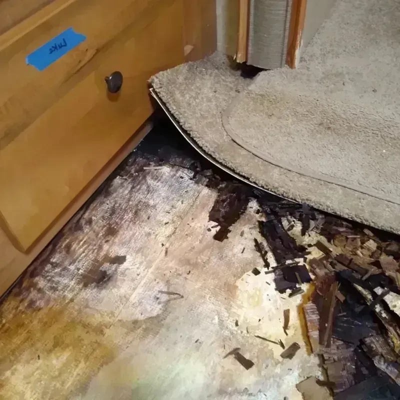 Best Wood Floor Water Damage Service in Martin County, TX